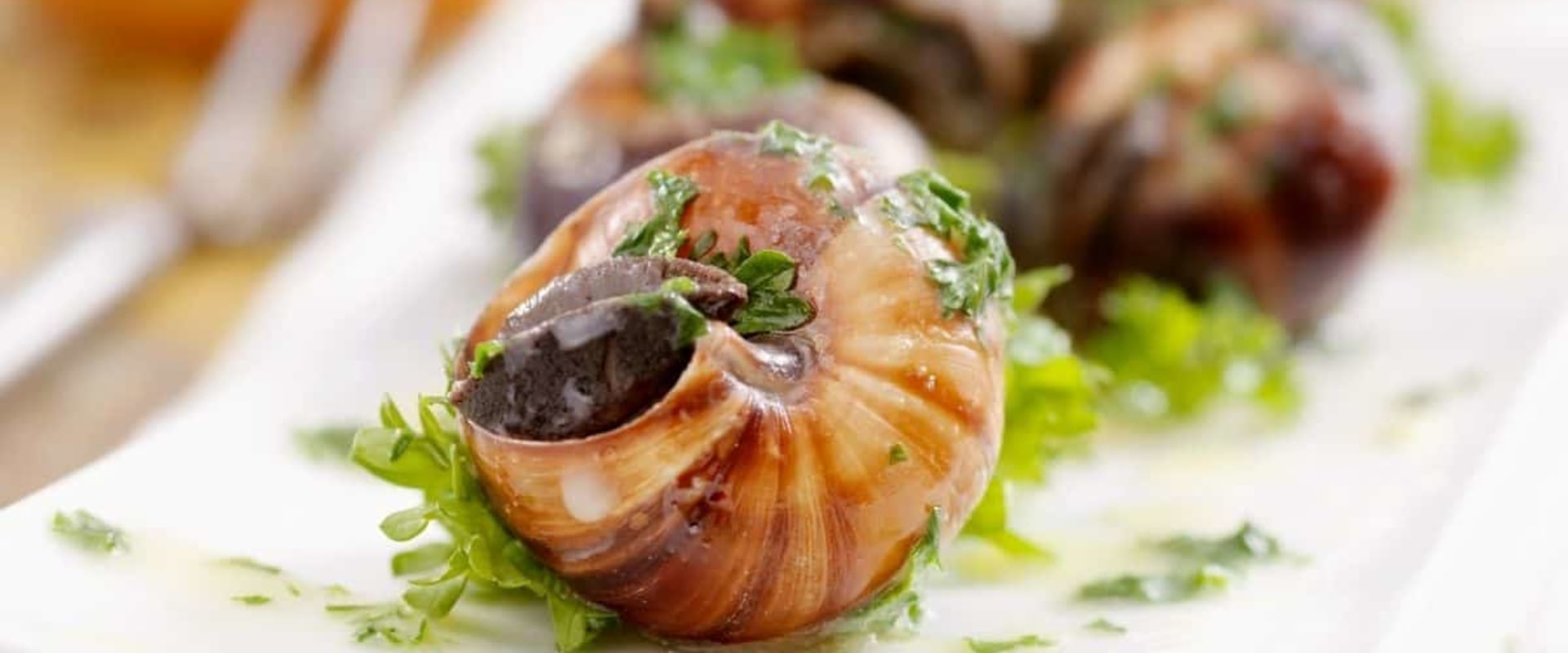 Exploring the Delicious World of French Food Recipes